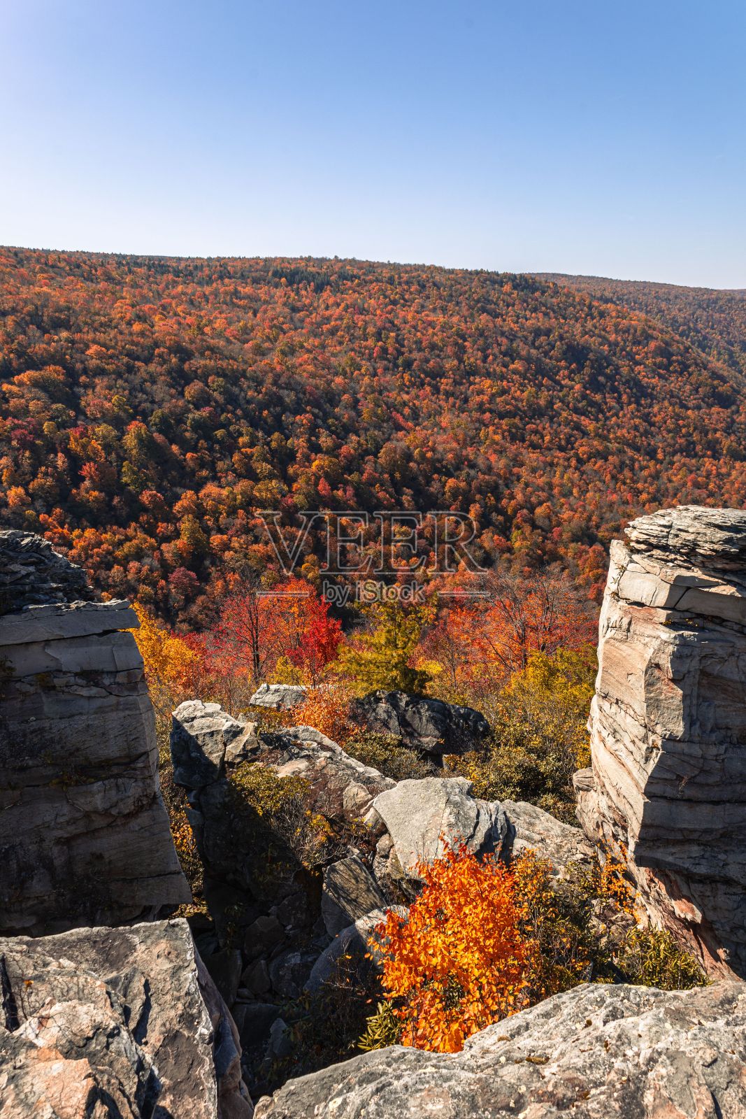 风景优美的岩石景观在树木繁茂的地区与秋天的树叶毯子。西维吉尼亚州。照片摄影图片