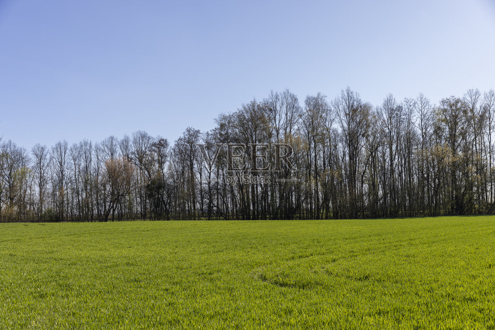 春天有绿色标志的农田照片摄影图片