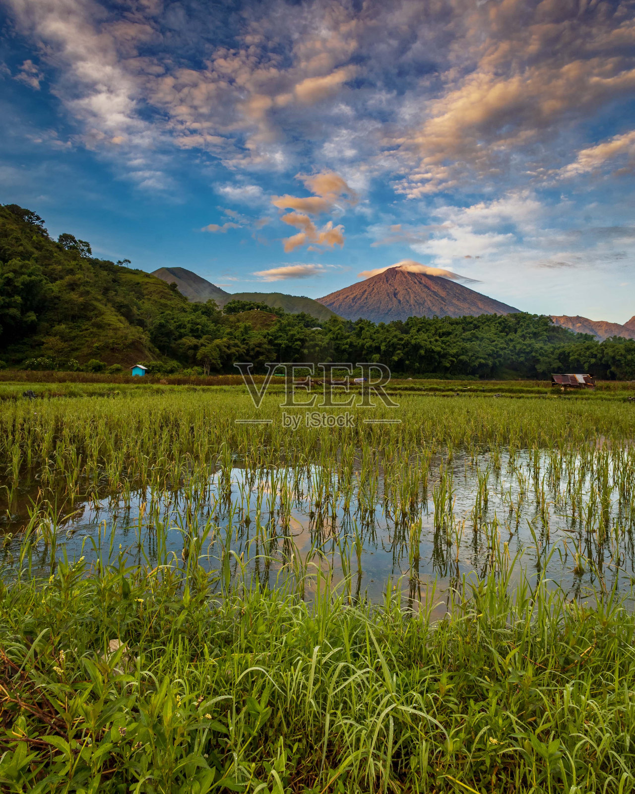 林贾尼山上的早晨照片摄影图片