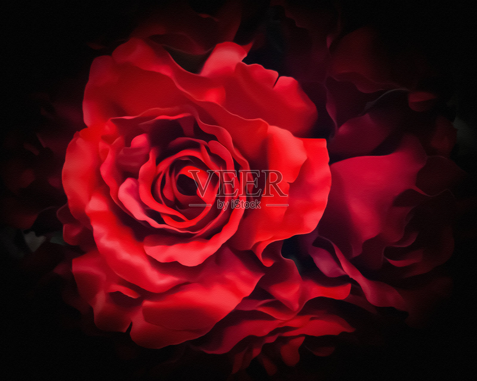 美术花照片摄影图片