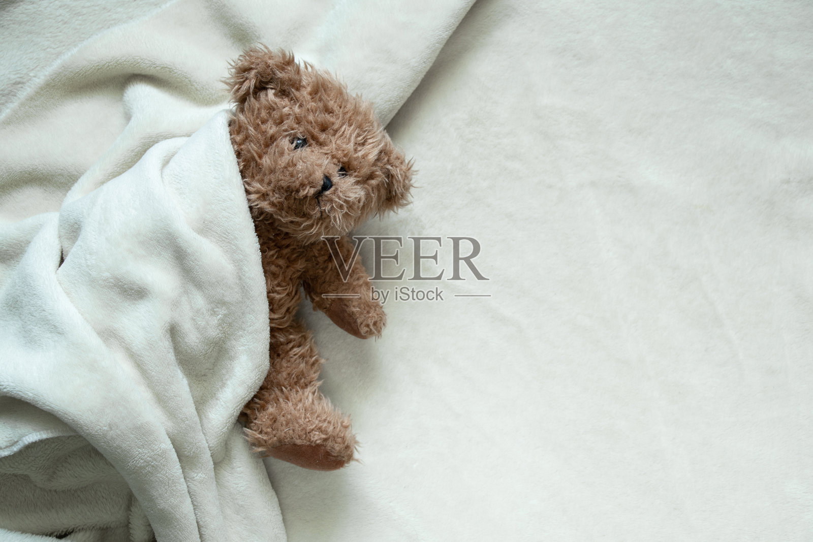 泰迪熊裹在白色柔软的毯子里躺着,留出文字的空间照片摄影图片
