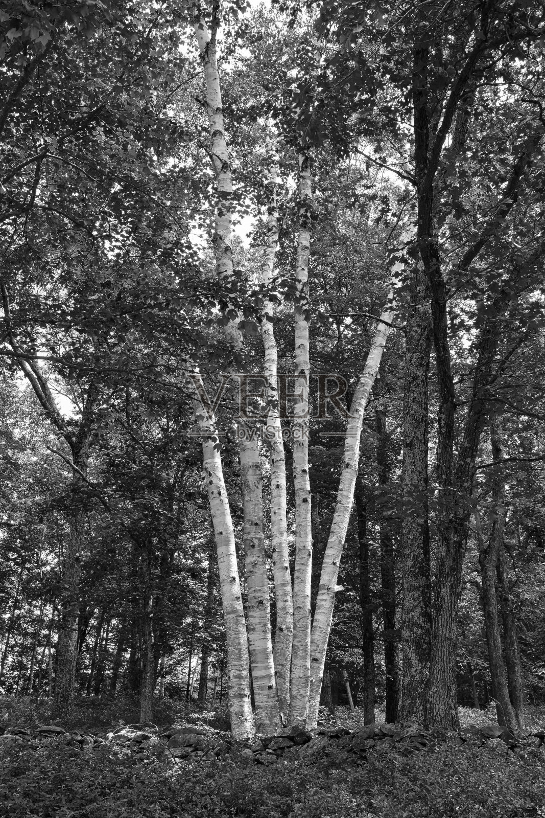 夸宾水库的户外美景照片摄影图片