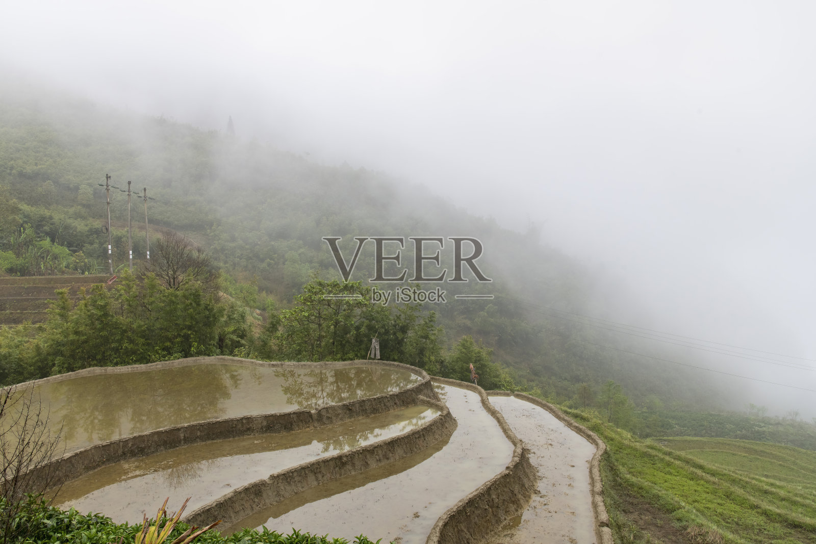 高山上的稻田照片摄影图片