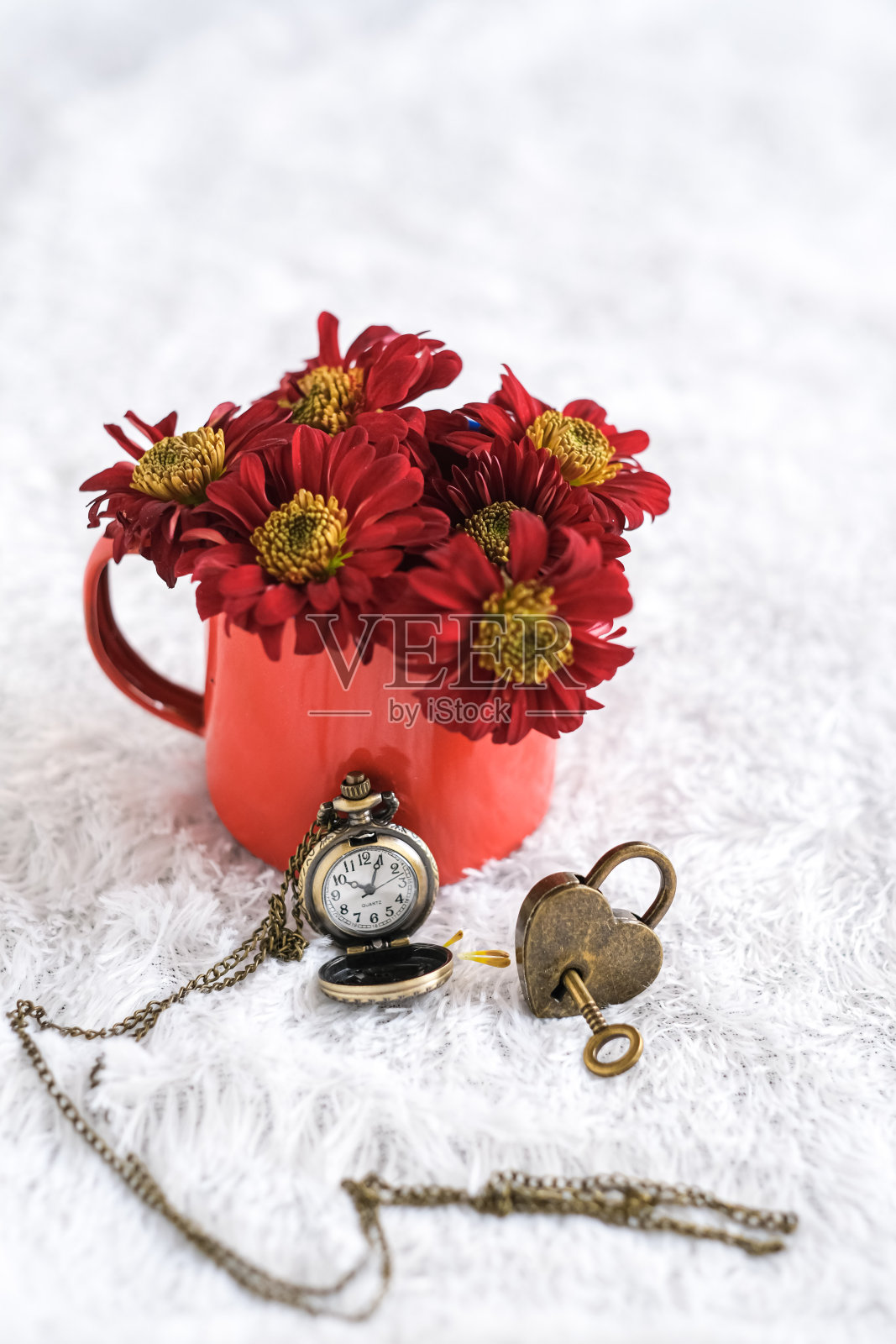 静物画照片摄影图片