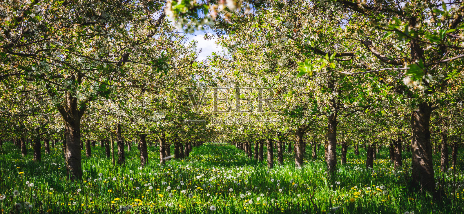 徒步小径梦想之路莱茵河摩泽尔艾菲尔岛照片摄影图片