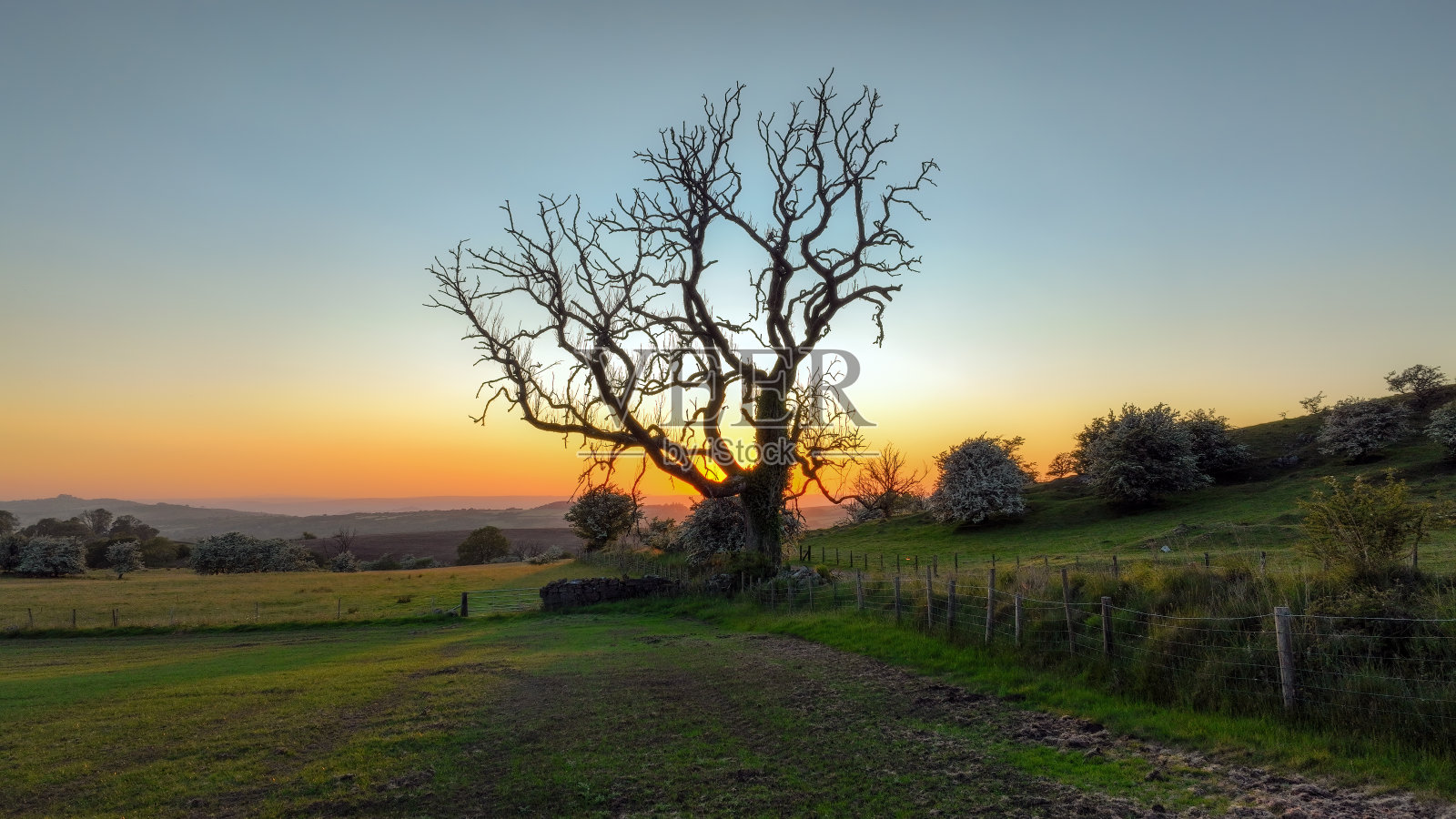 日落时的幽灵树照片摄影图片
