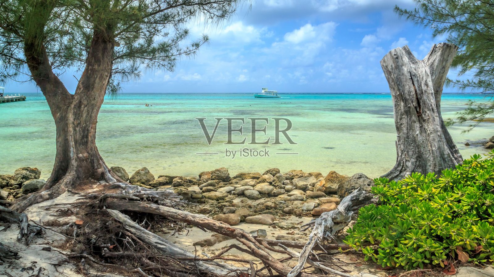 在一个阳光明媚、温暖的日子里,天堂岛的特写照片摄影图片