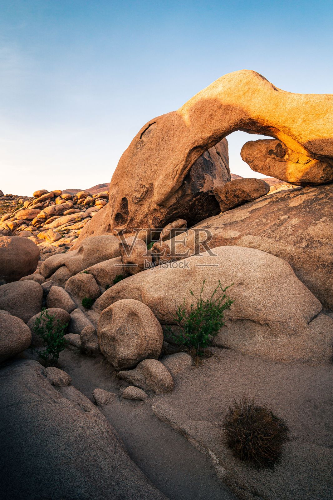 雄伟的约书亚树拱门岩石矗立在晴朗的蓝天下照片摄影图片