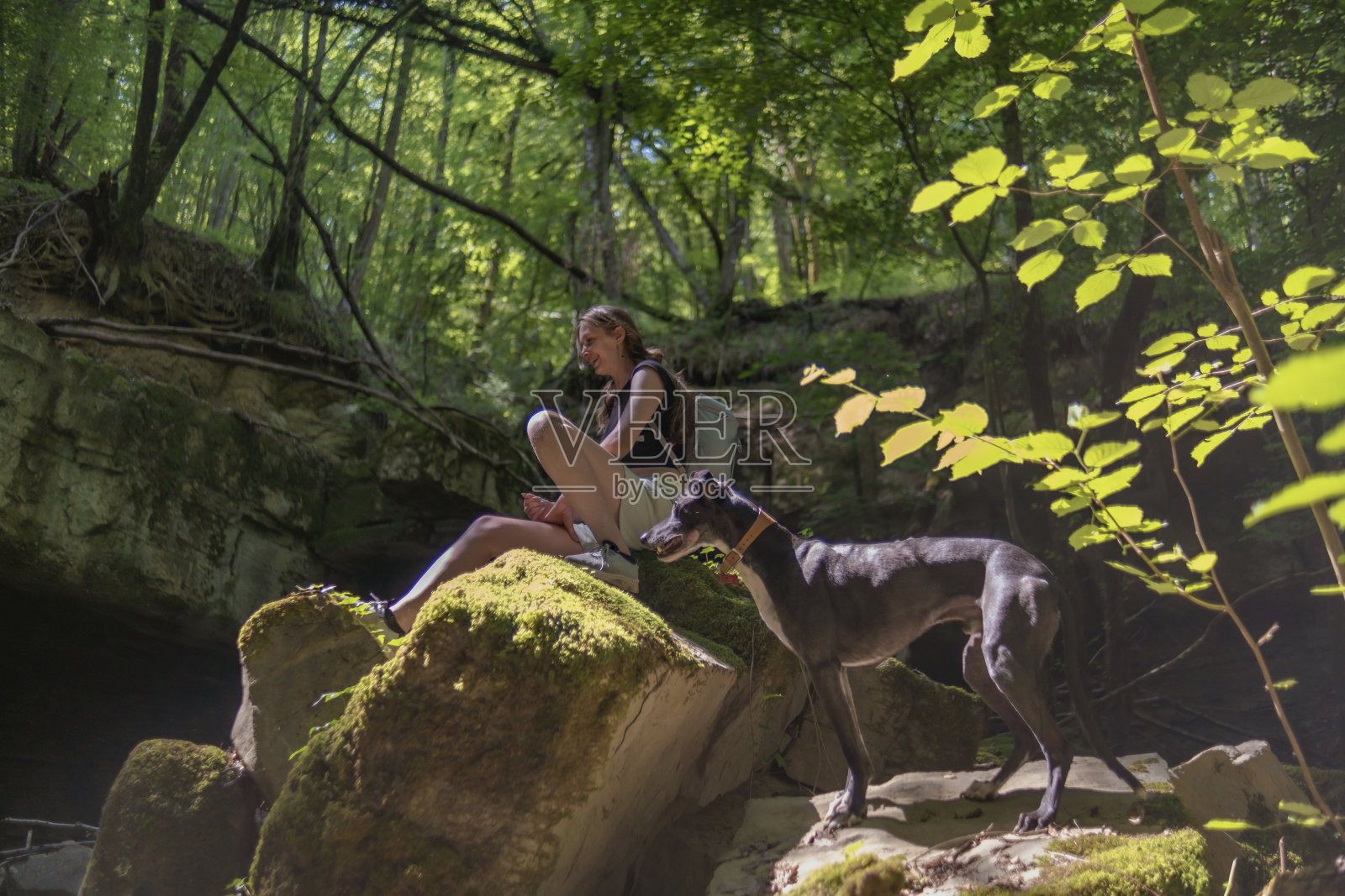 在森林中间休息照片摄影图片