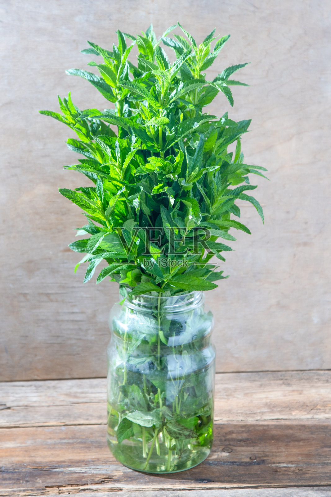 薄荷香。新鲜的绿叶。花瓶在桌子上。照片摄影图片
