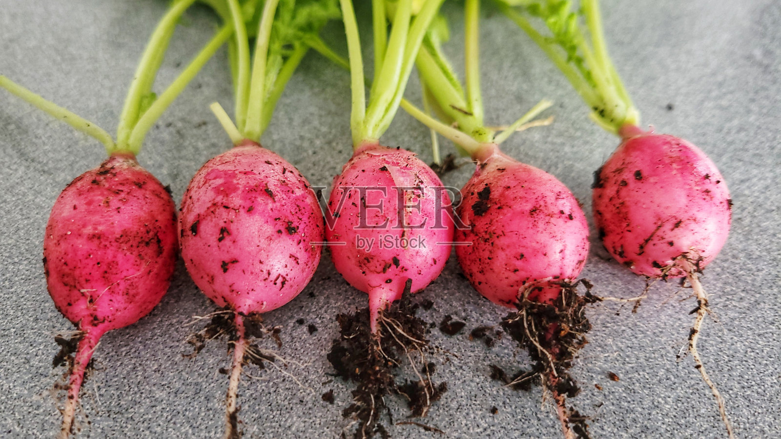 灰色的桌子上放着新鲜的红萝卜照片摄影图片