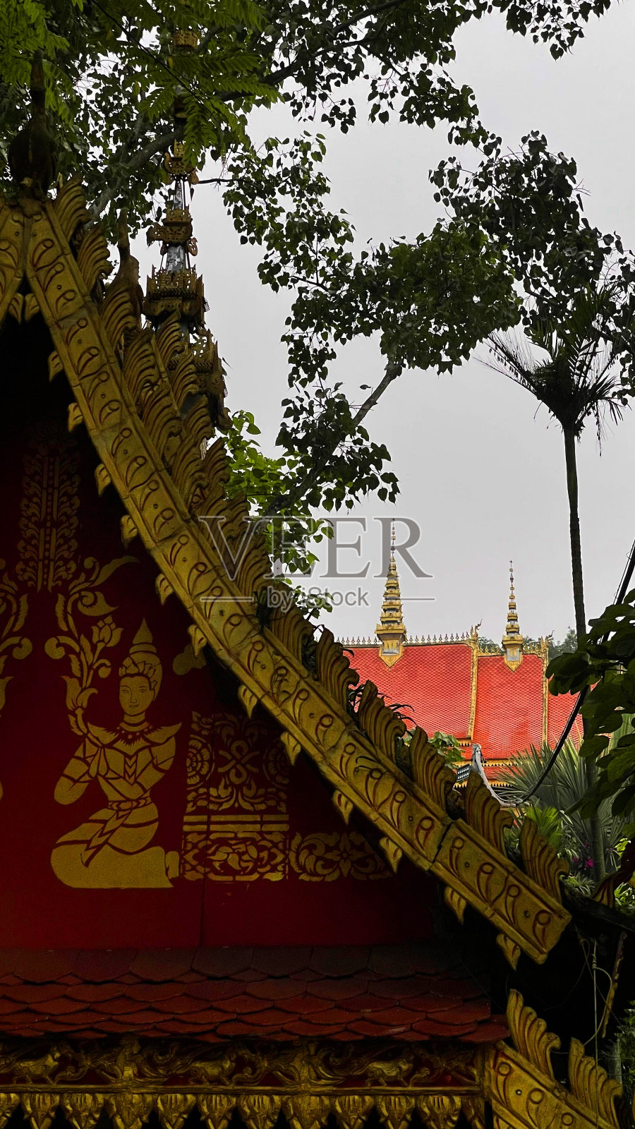 云南西双版纳的建筑照片摄影图片