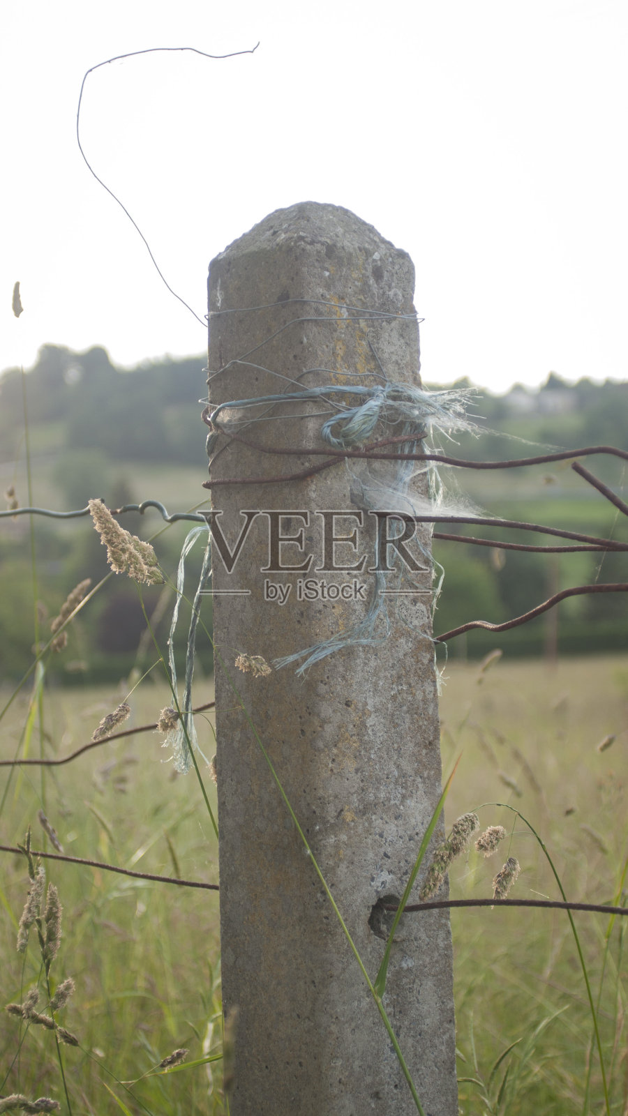 农田里的混凝土纠察队照片摄影图片
