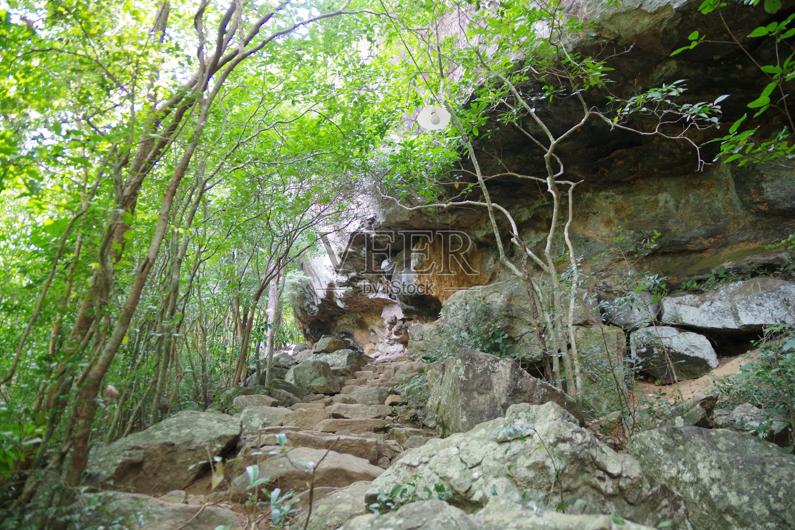 锡吉里亚的Pidurangala岩石照片摄影图片