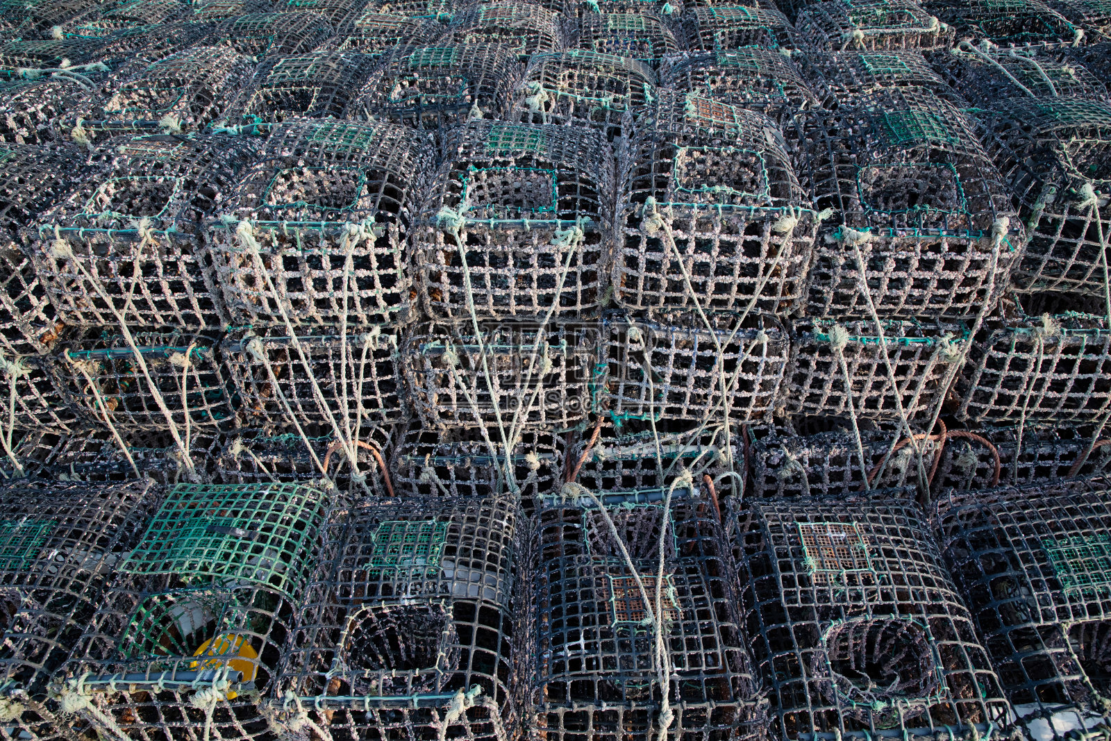 一堆螃蟹和龙虾笼子。海鲜的概念照片摄影图片