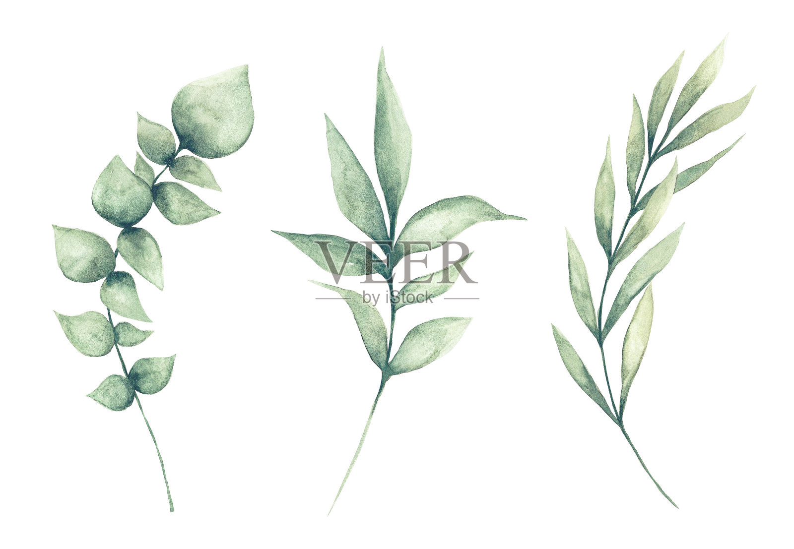 一套水彩绿色叶子剪贴画插画图片素材