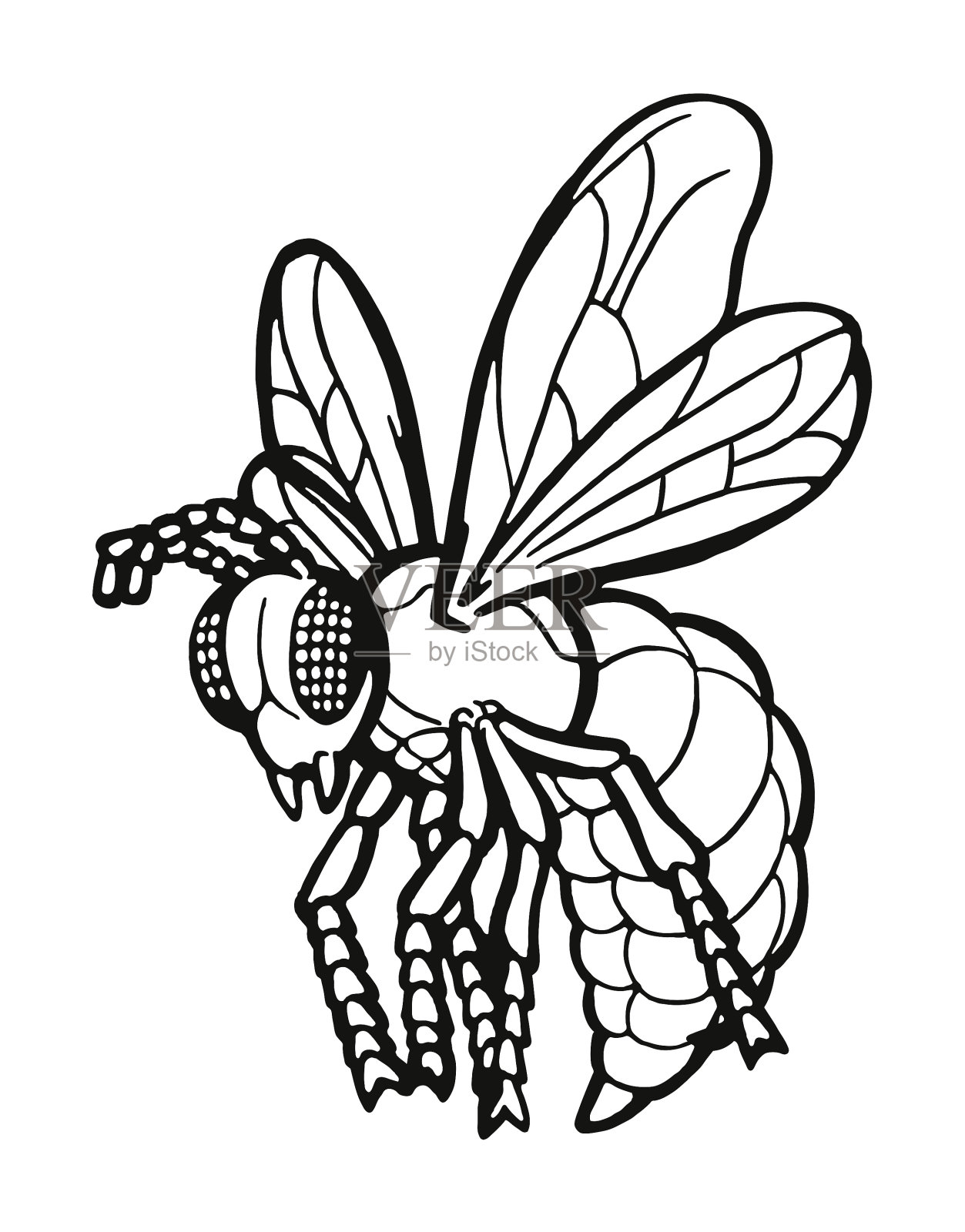 大黄蜂插画图片素材