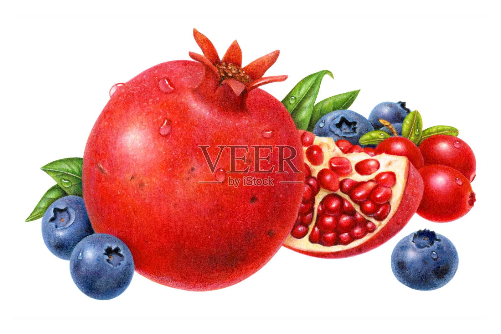 石榴和浆果插画图片素材