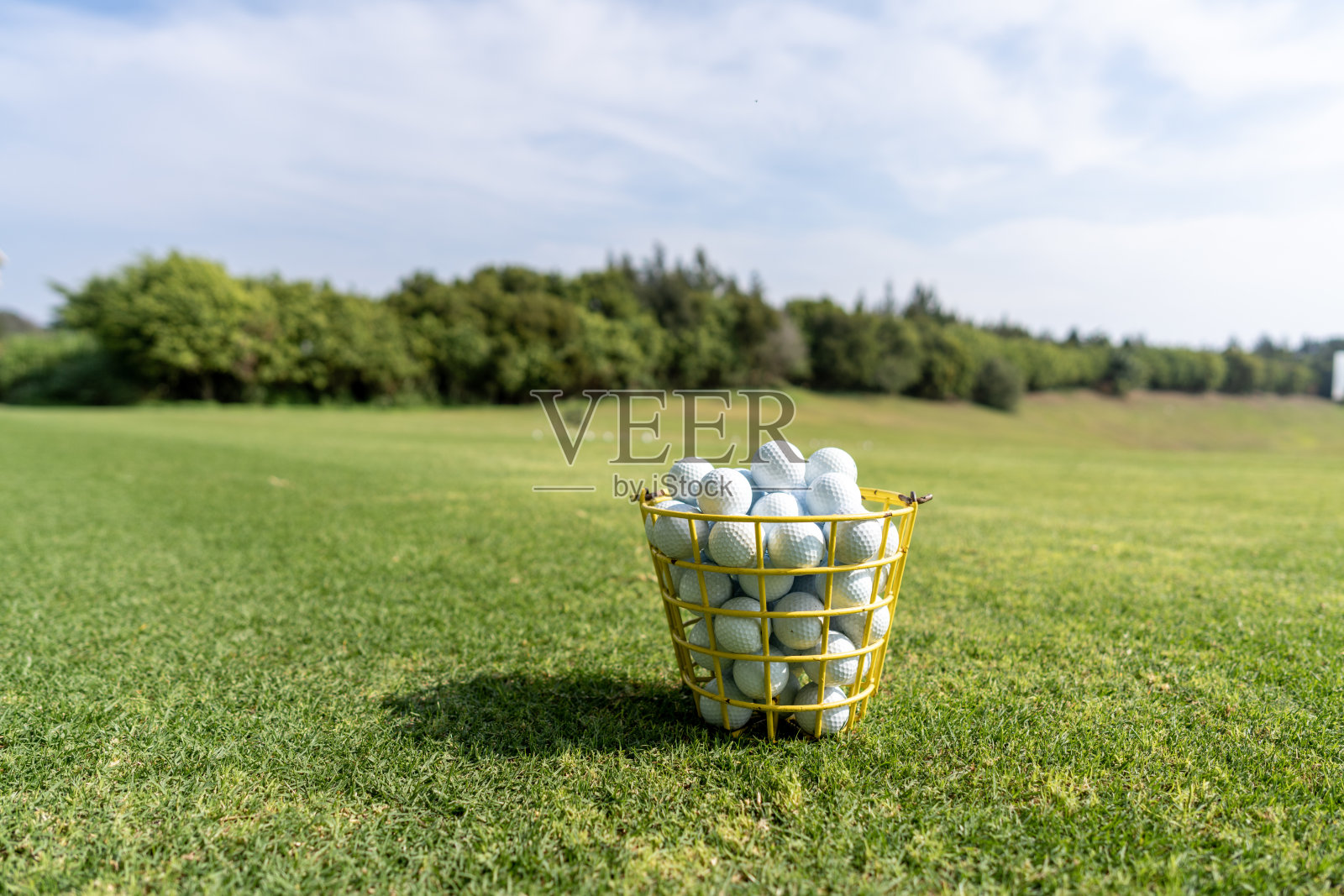 草坪上的一篮高尔夫球照片摄影图片