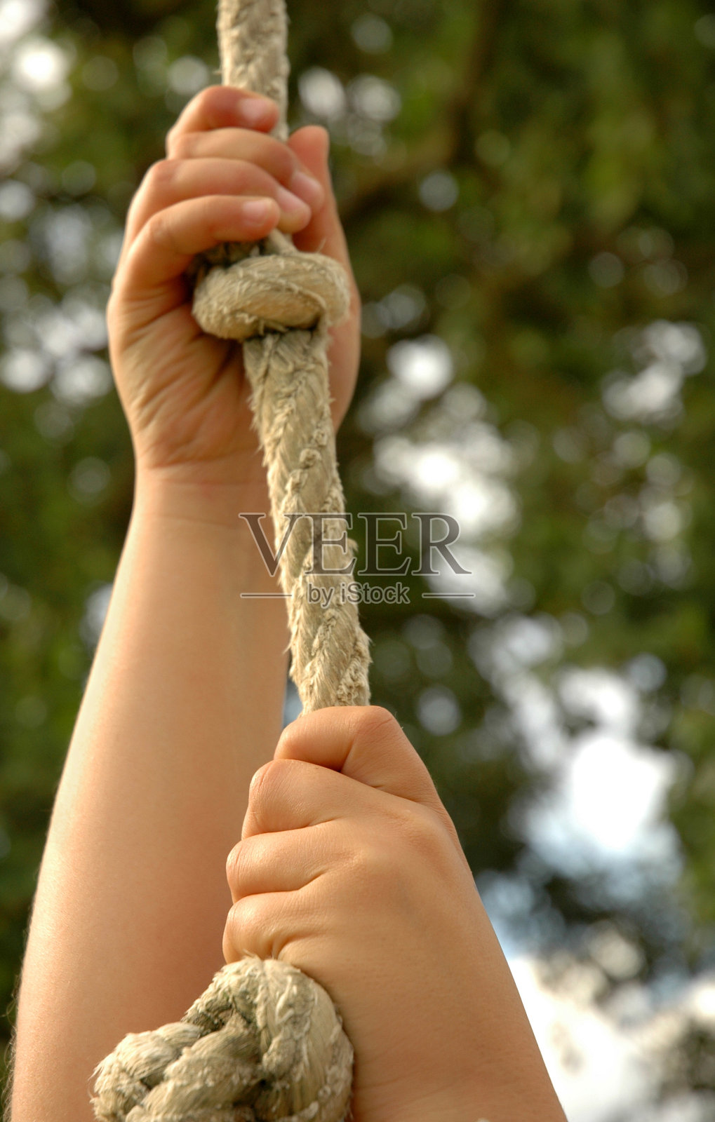 Green Business Office重复图片照片摄影图片