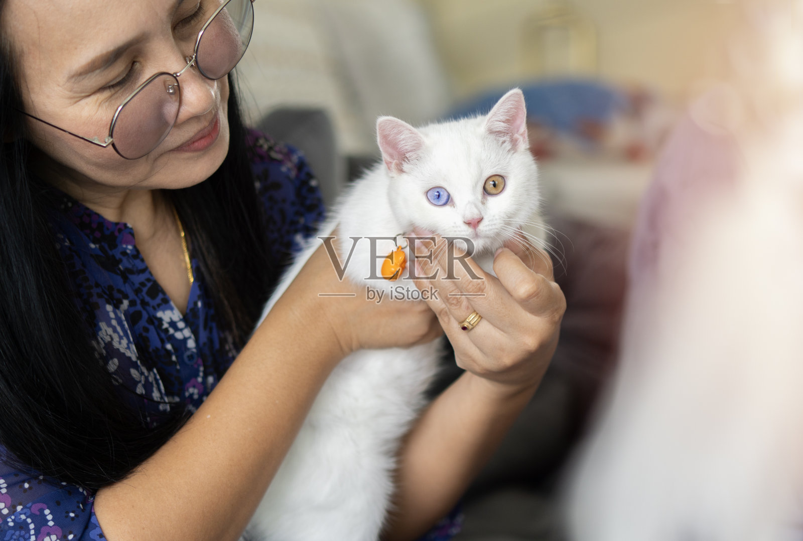 一个穿着休闲的亚洲女性的生活照,她抱着可爱的两只眼睛的猫,抚摸和亲吻。照片摄影图片