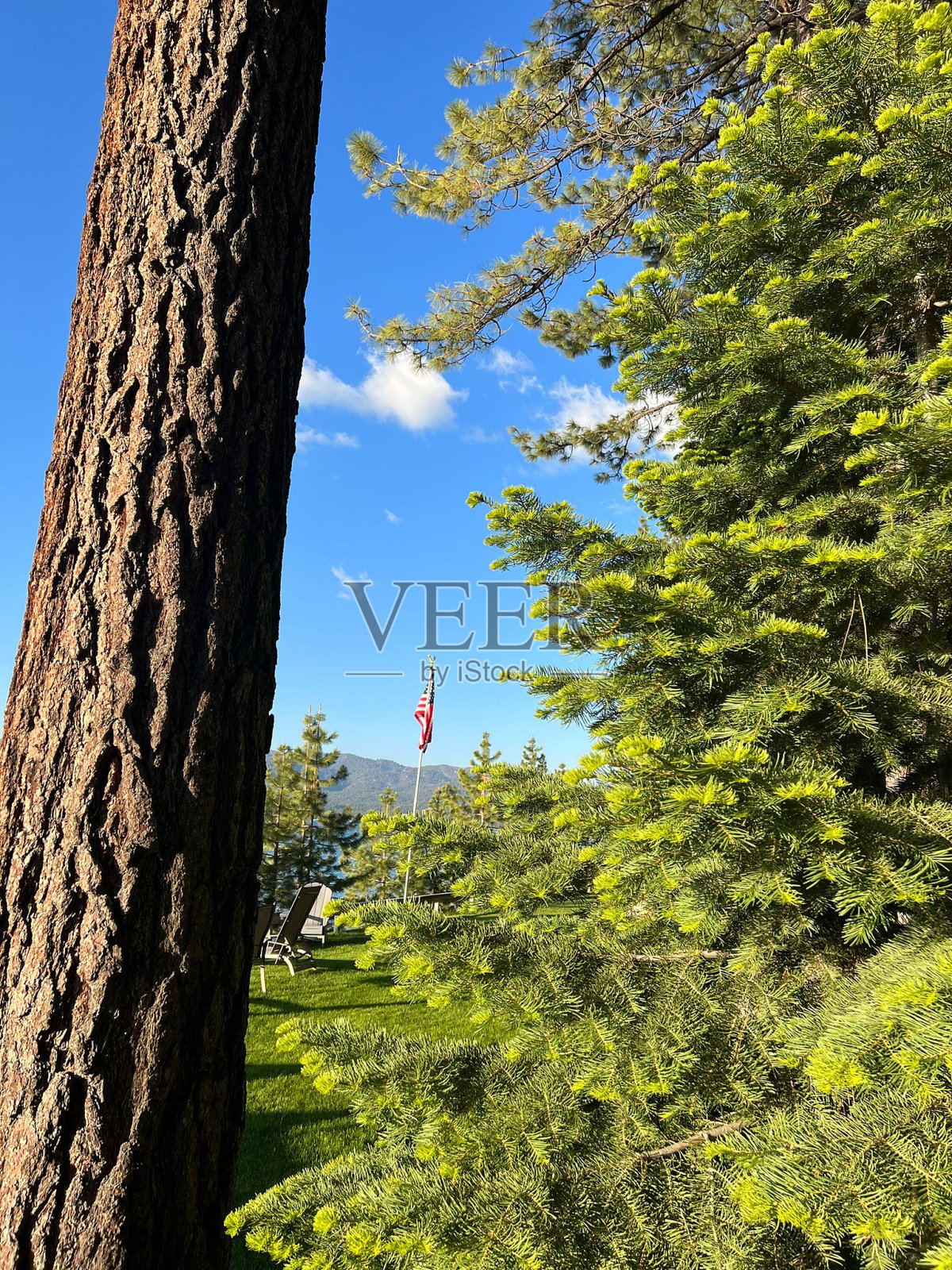 太浩湖照片摄影图片