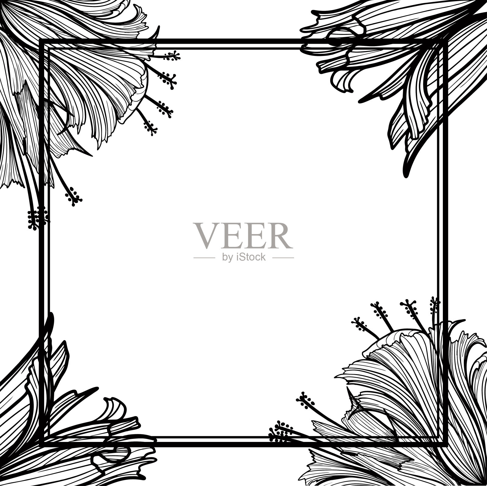 花卉框架与鲜花和文字的地方。设计模板的优雅元素。插画图片素材