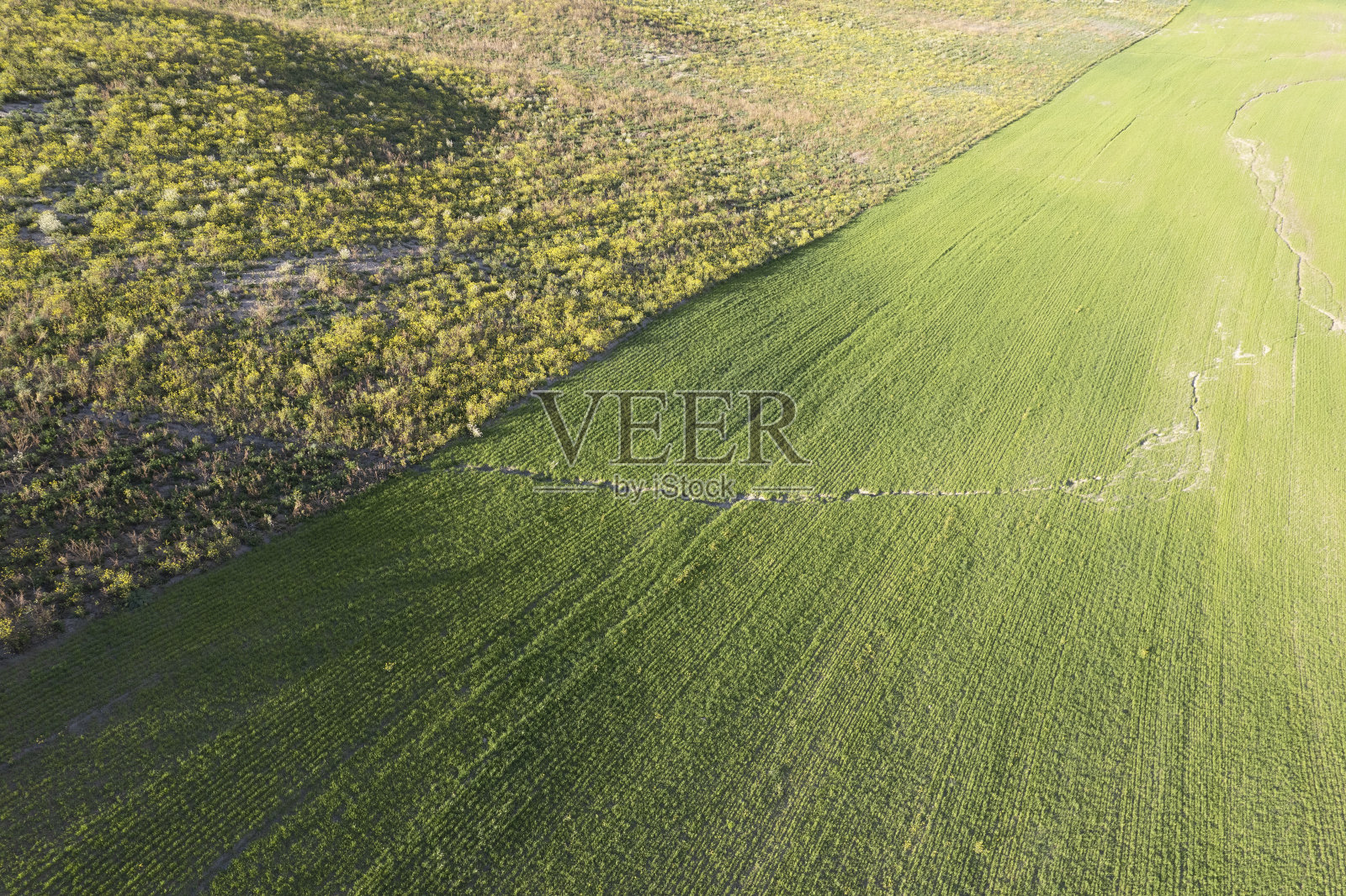 鸟瞰春天的乡村色彩照片摄影图片
