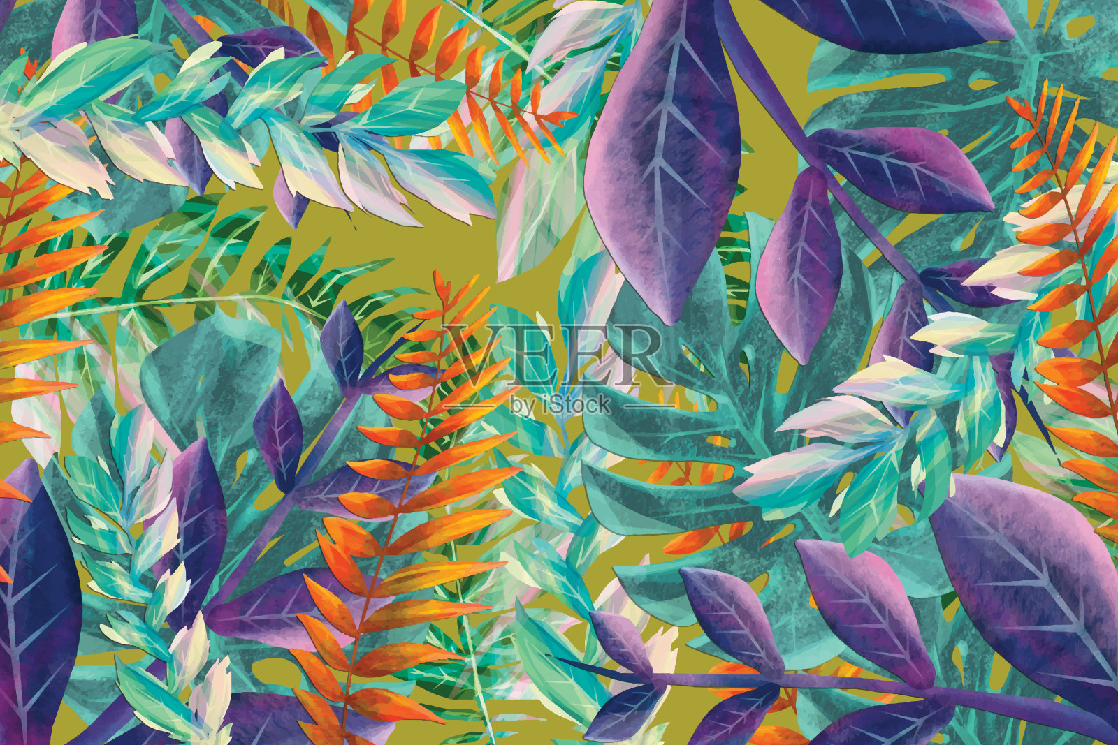 热带植物的背景插画图片素材