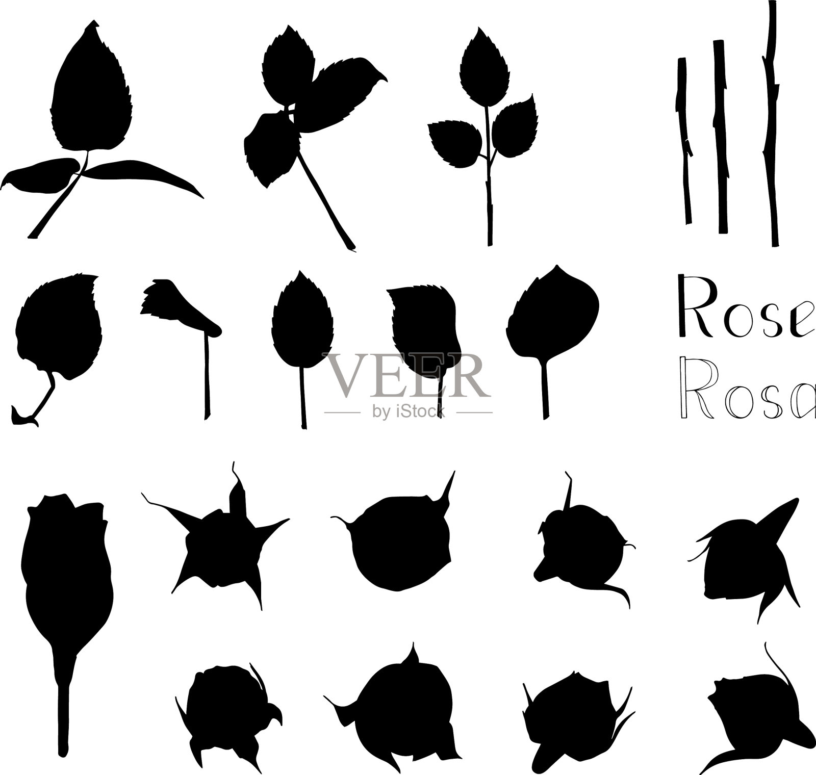 大集手绘花插画图片素材