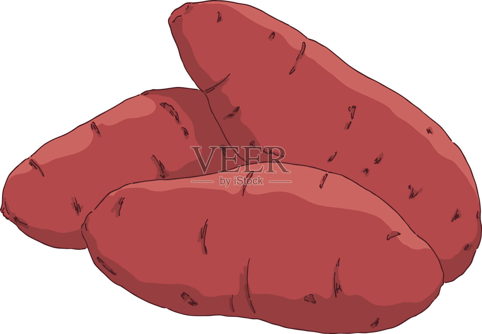 矢量插图的三个红色红薯在白色插画图片素材