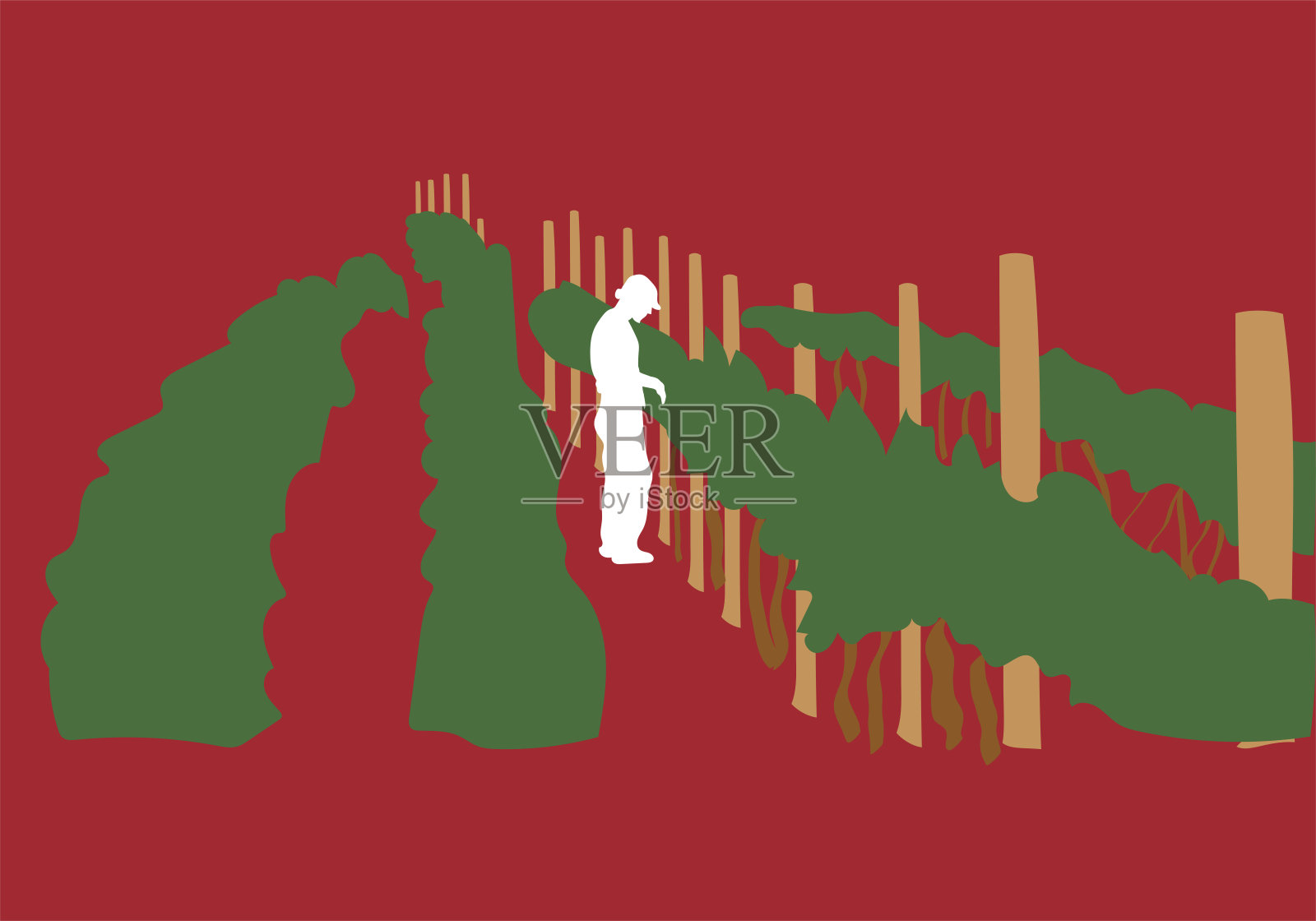 葡萄园弗拉特西格插画图片素材