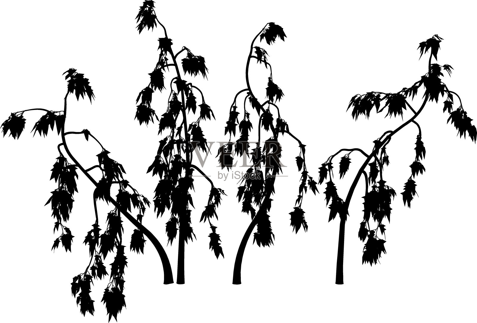 奇妙的葡萄树的轮廓设计元素图片