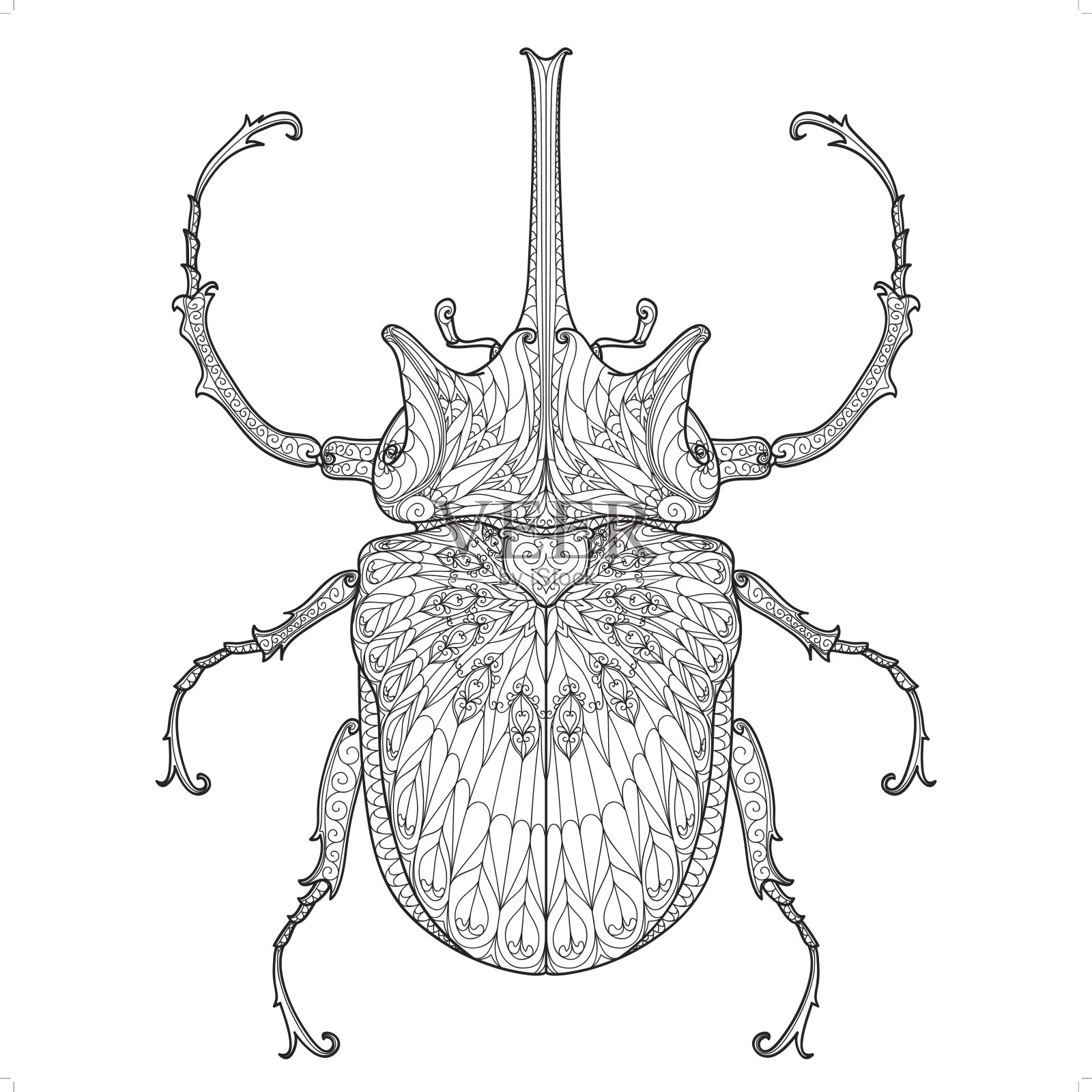 甲虫涂鸦图案插画图片素材