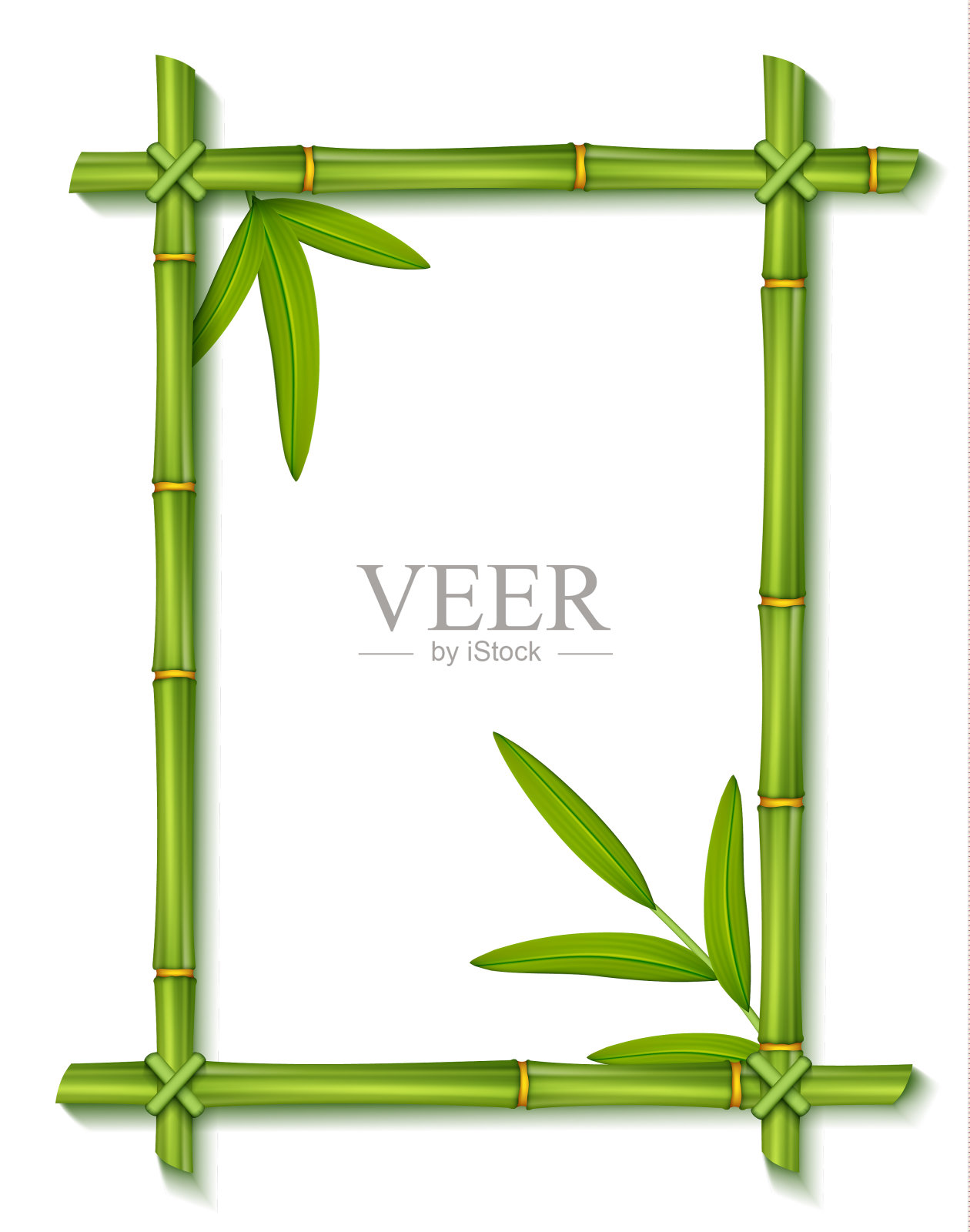 绿色竹叶框架插画图片素材