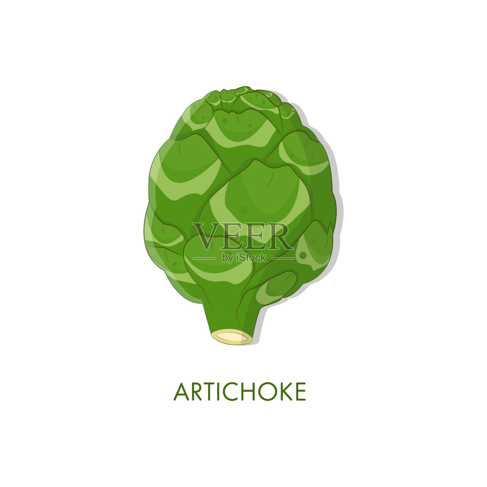 朝鲜蓟图标矢量设计。插画图片素材