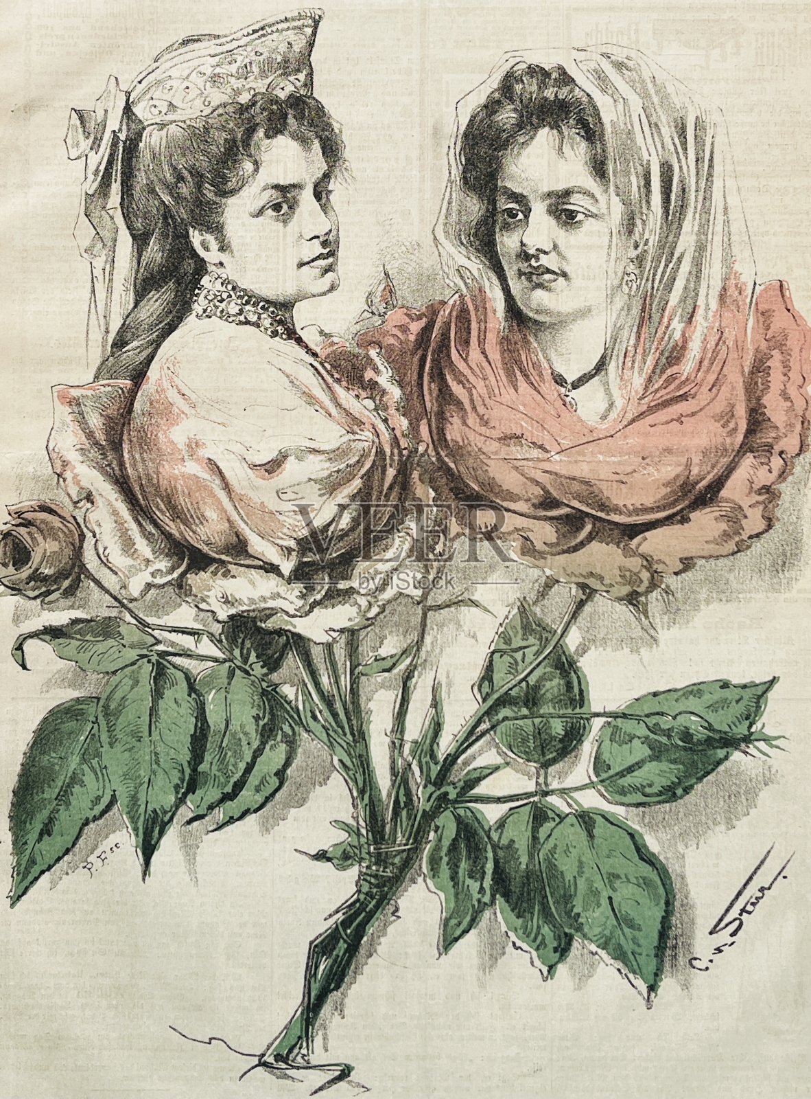 两个女人是没有刺的玫瑰,歌剧歌手Fräulein Tagliana和Jelenska插画图片素材