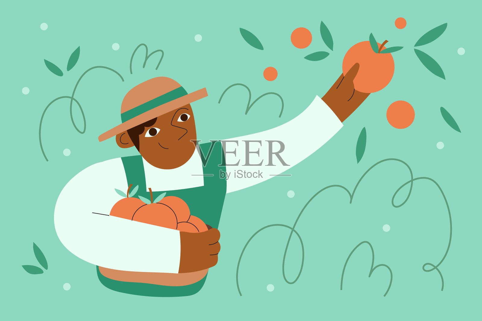 一个农夫高兴地在花园里采摘和收获新鲜的橙子插画图片素材