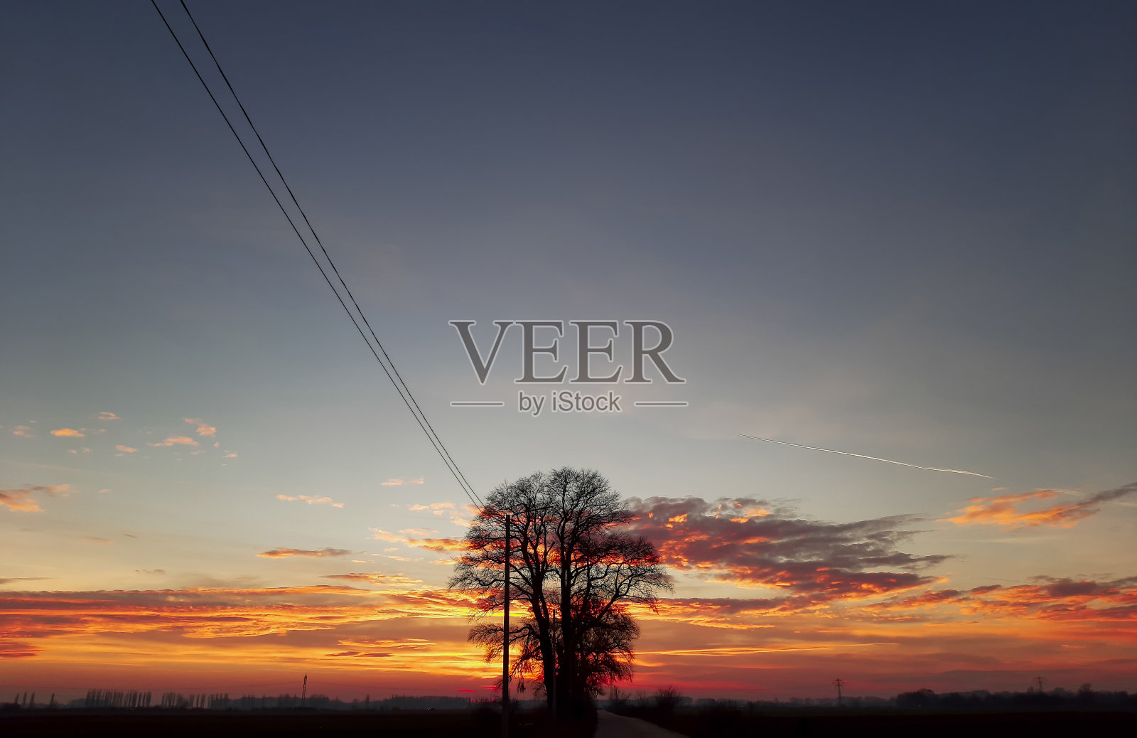 夕阳下的孤树——乡间小路照片摄影图片