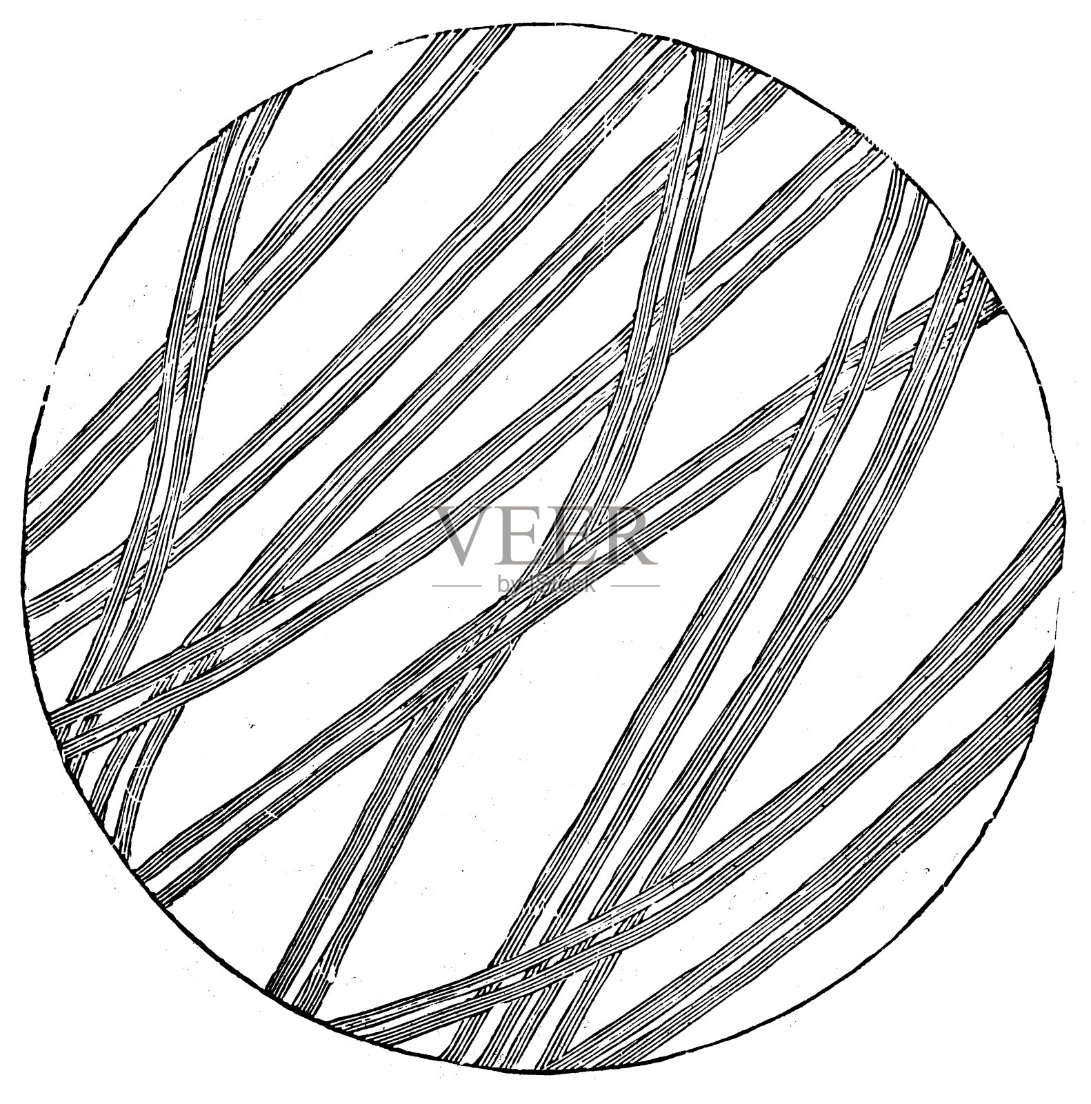 科学发现、实验和发明的古董插图:显微镜、丝绸插画图片素材