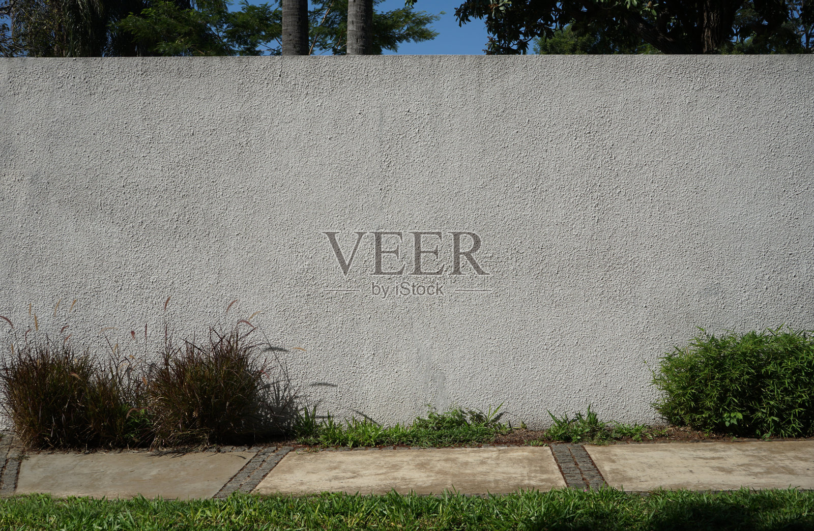 混凝土栅栏,墙用白色灰泥。道路,人行道上。植物,草,树。空的空间。设计背景。照片摄影图片