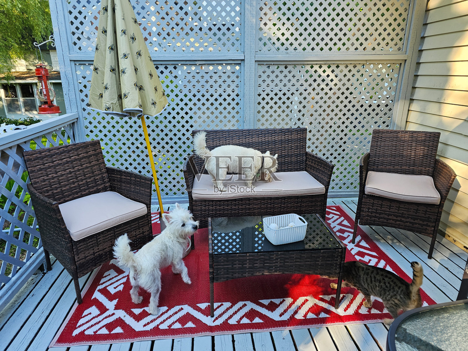 家具上的西施照片摄影图片