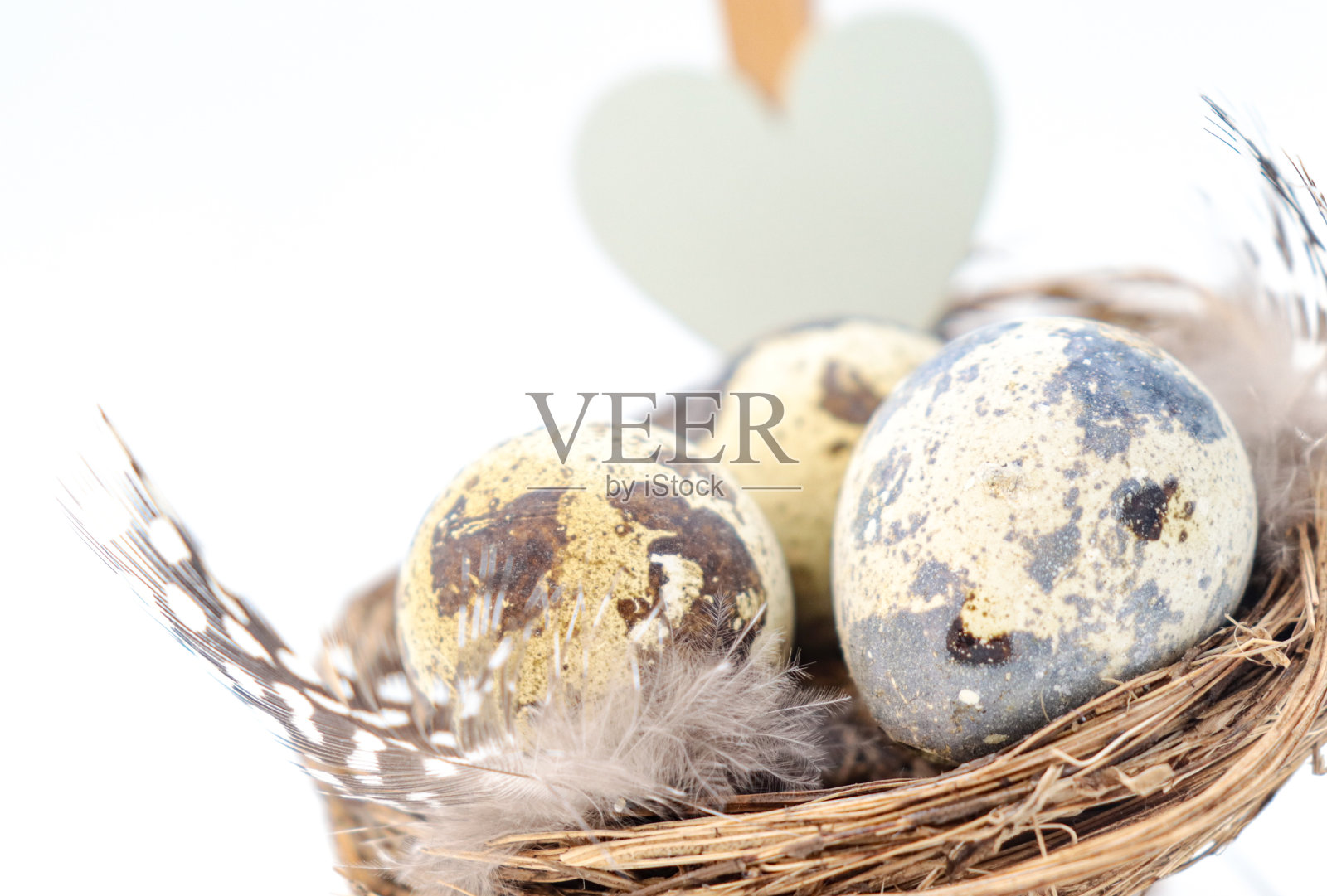 鹌鹑蛋在白底的巢里。照片摄影图片