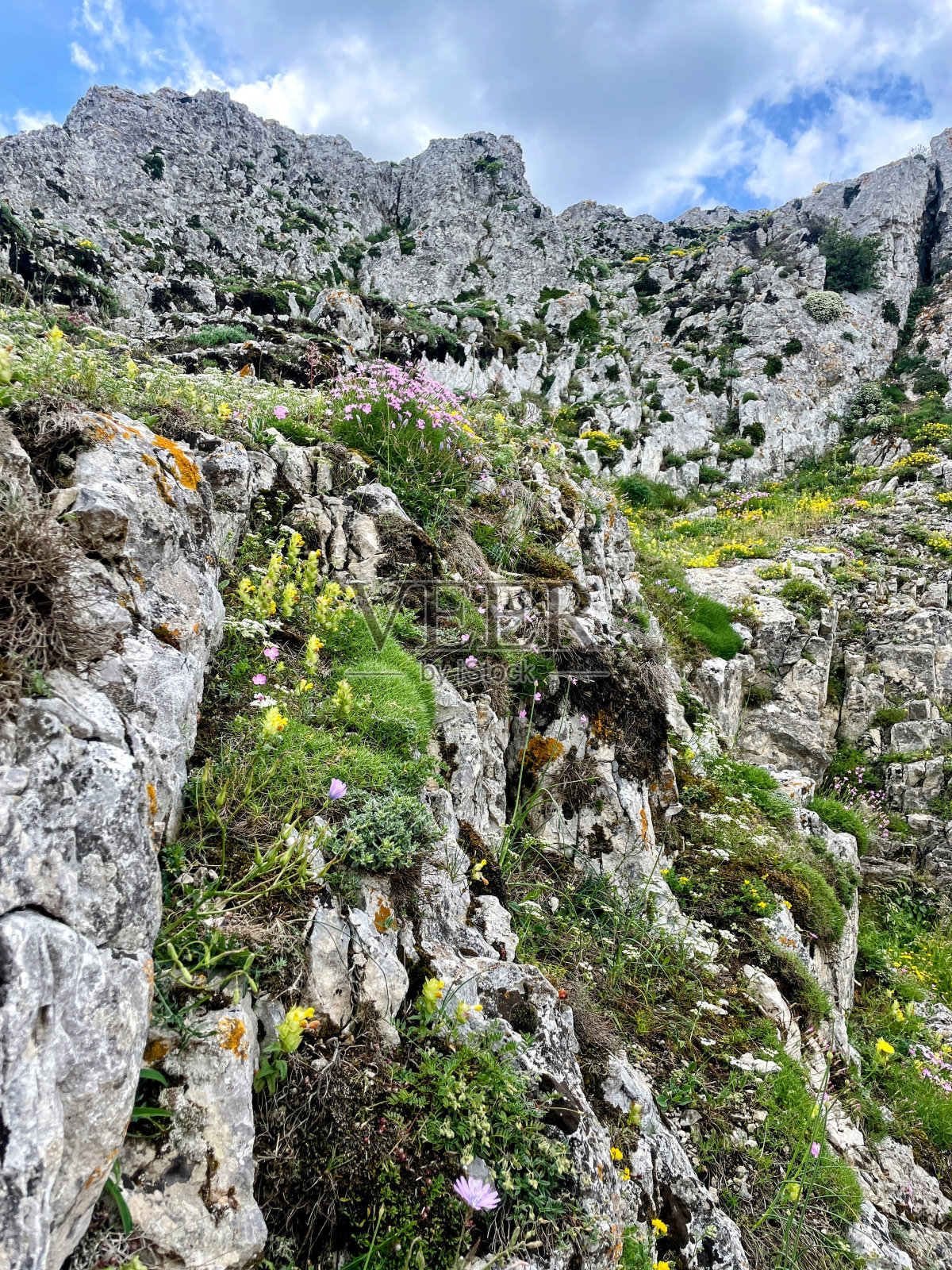 夏季高山风光照片摄影图片