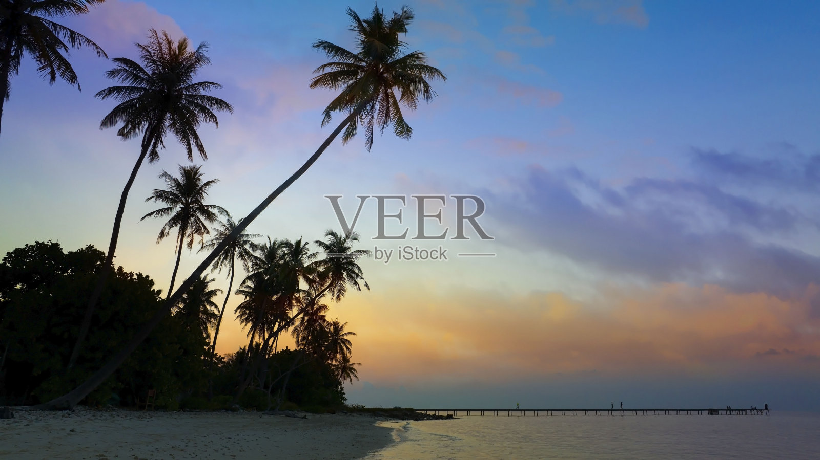 夏日热带,以五彩缤纷的主题作为海滩背景上的棕榈树照片摄影图片