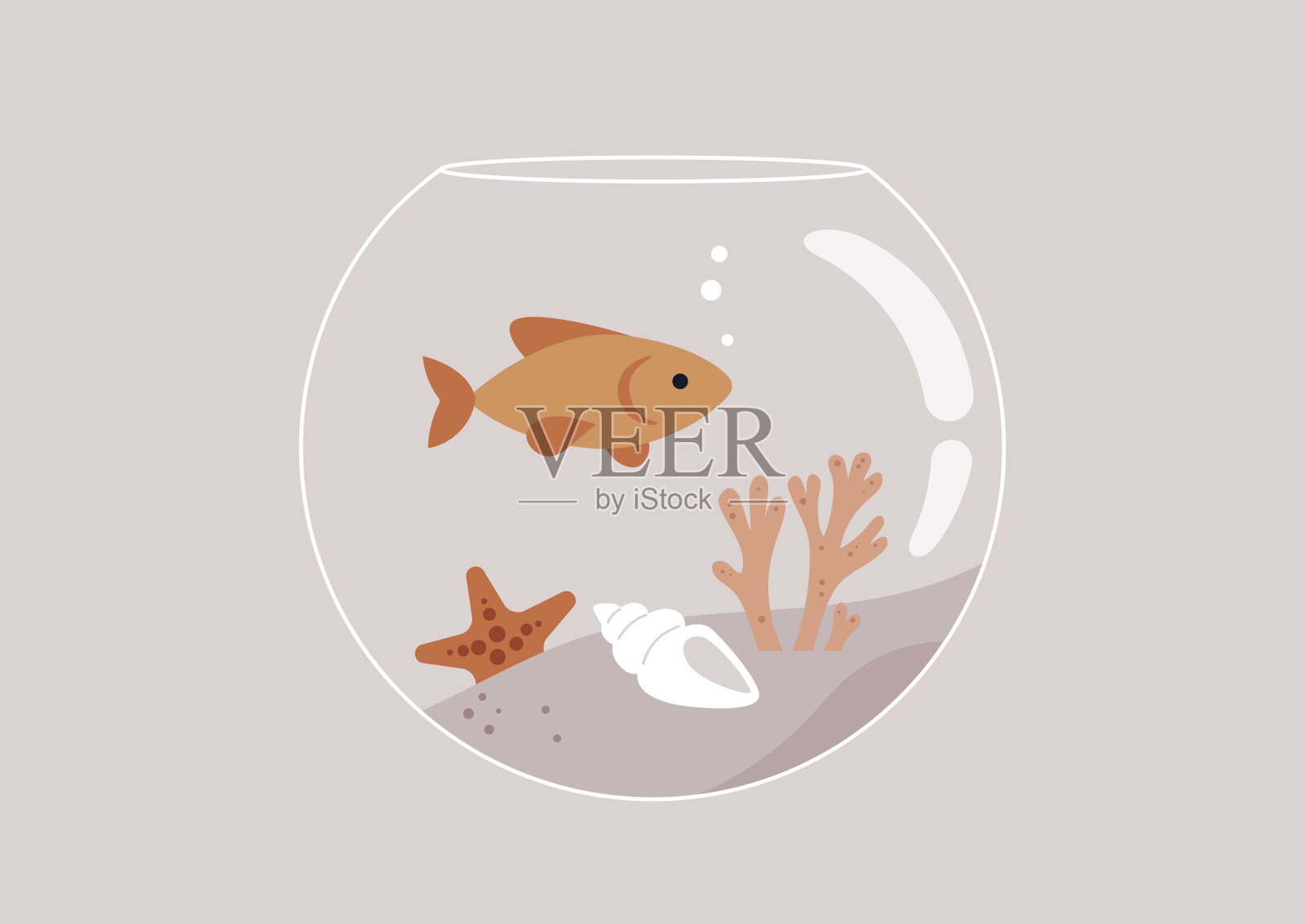 一个圆形的鱼缸,里面有珊瑚和贝壳,一条金鱼在游泳插画图片素材