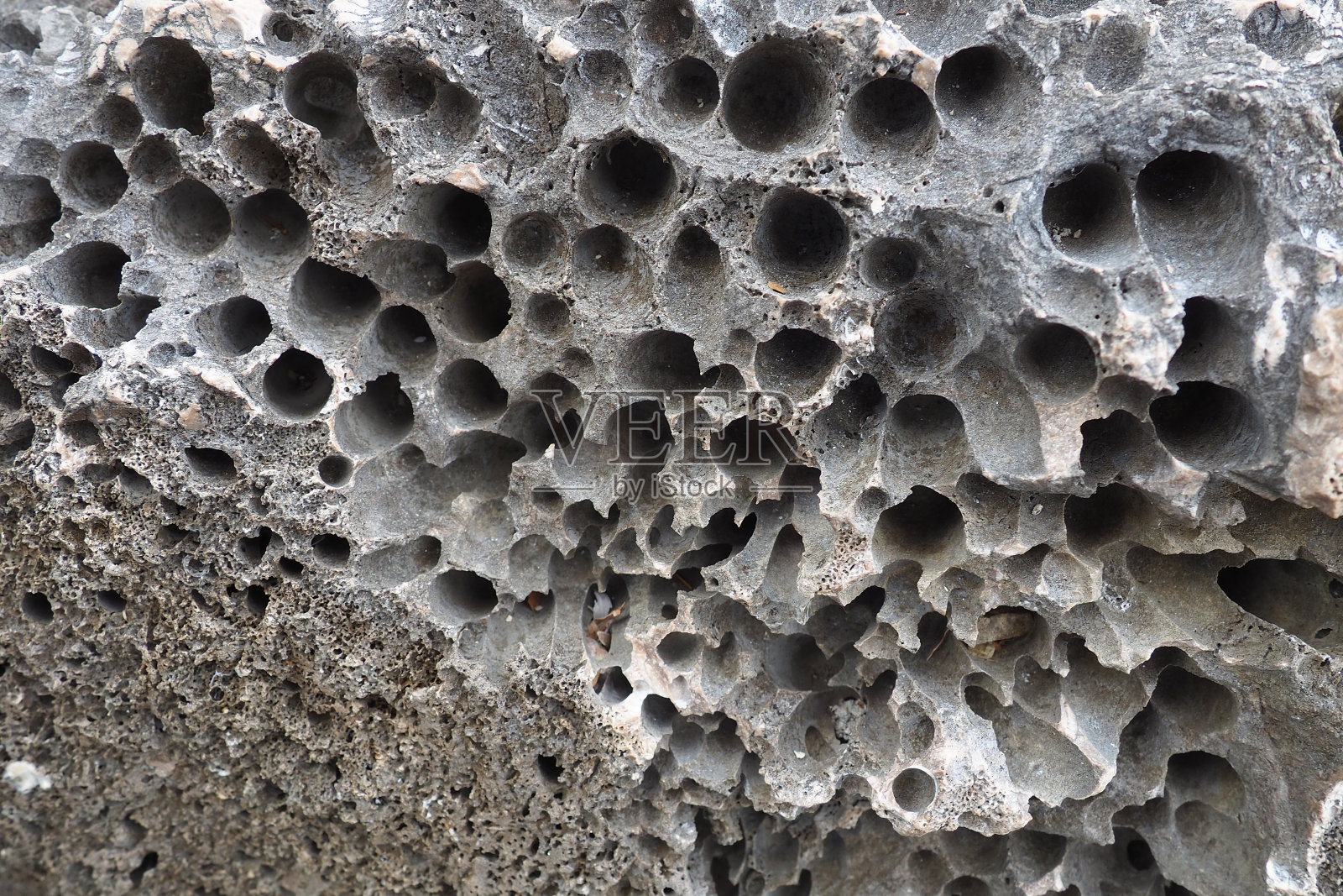 火山石头。海绵状多孔疏松透气的石质材料。黑山Herceg Novi, Meljine附近的岩石特写。凝固熔岩中的洞。地中海亚得里亚海地区的灰色黑色岩石。照片摄影图片