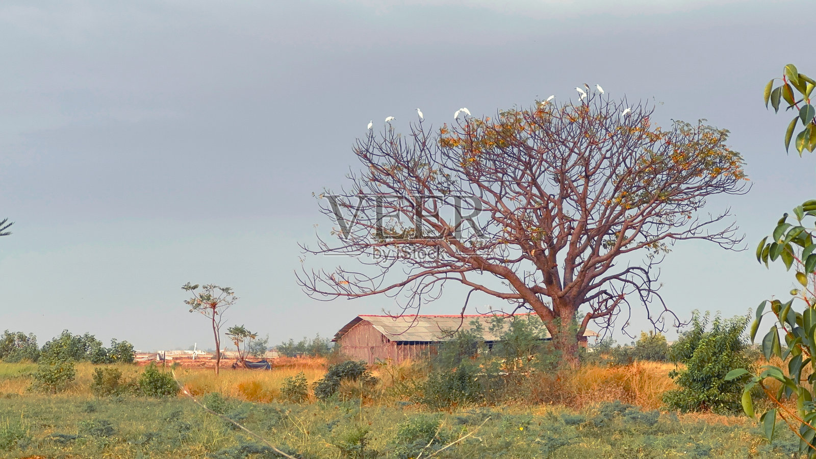 清晨鸟瞰照片摄影图片