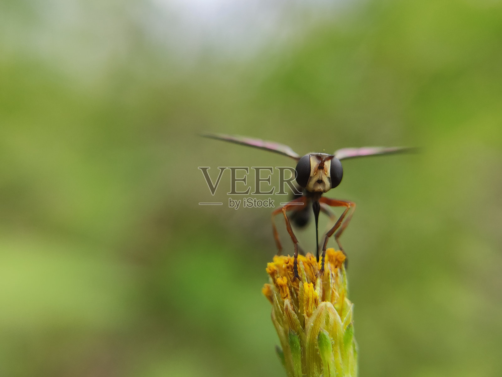 错误的生活照片摄影图片