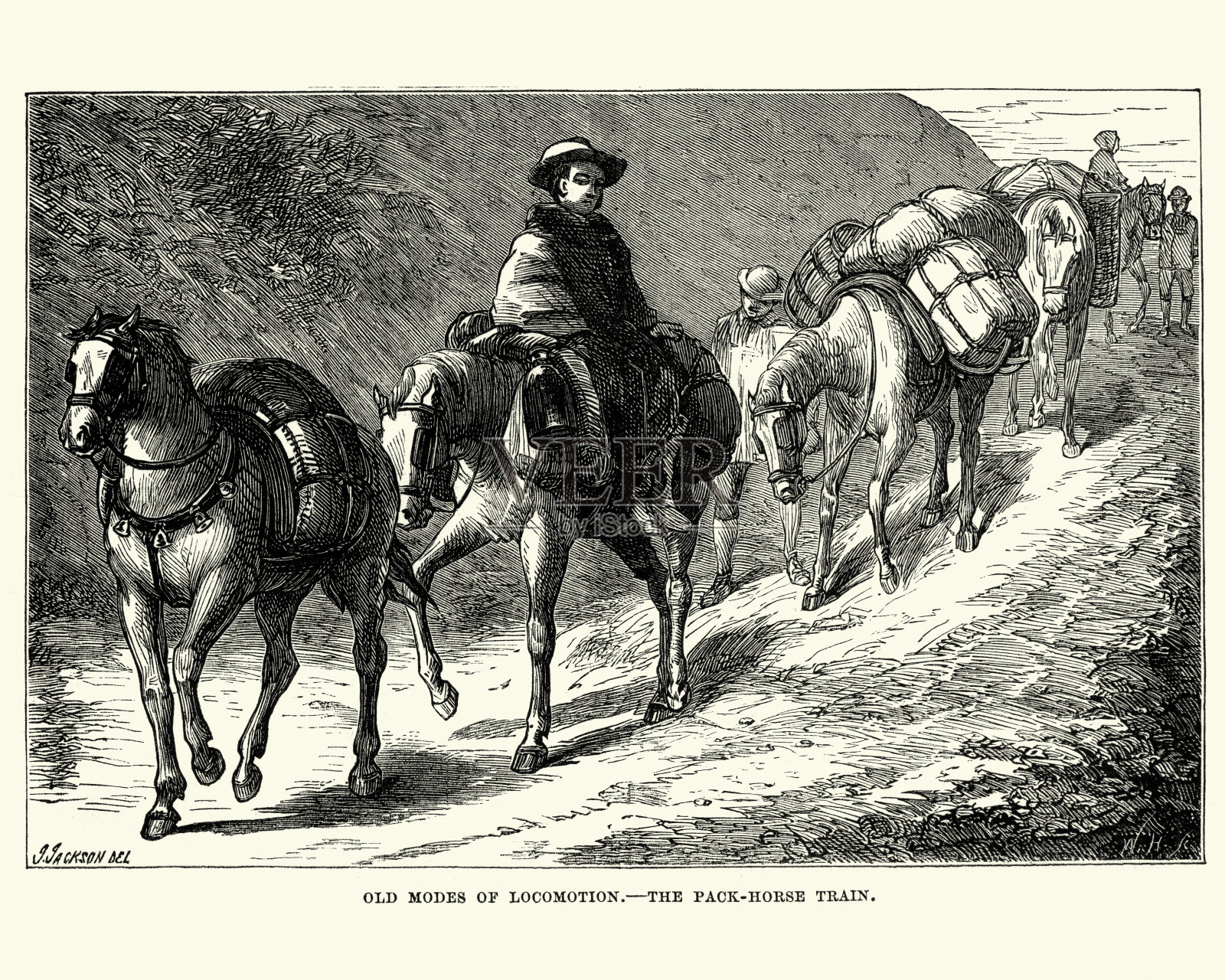 驮马队,1870年插画图片素材